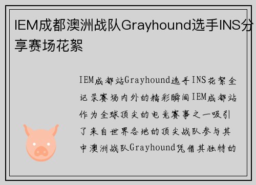 IEM成都澳洲战队Grayhound选手INS分享赛场花絮