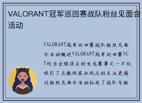 VALORANT冠军巡回赛战队粉丝见面会活动
