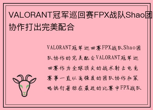 VALORANT冠军巡回赛FPX战队Shao团队协作打出完美配合