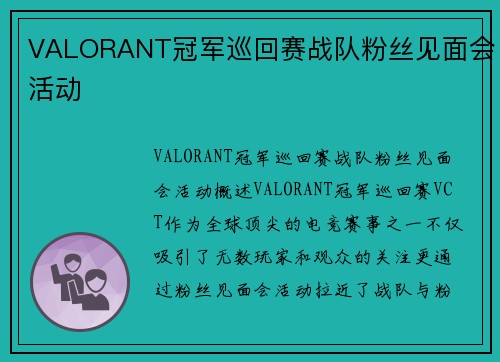 VALORANT冠军巡回赛战队粉丝见面会活动